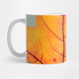 Nature Autumn Mug